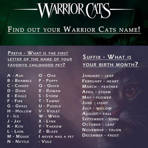 The offical Warrior Cats Generator! What's your name? Warrior Cat Oc Names, Warrior Cat Names Ideas, Warrior Cat Party, Warrior Cats Ultimate Edition Bio Ideas, Warrior Cats Oc Generator, Warrior Cat Quotes, Warrior Cat Name Ideas, Warrior Cat Generator, Warrior Cats Name Ideas