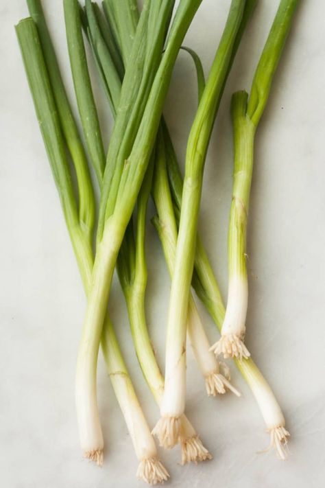 Green Onions Recipes, Scallions Recipes, Kitchen Science, Scallion Pancakes, Kitchen Skills, Black Apron, Spring Breakers, Spring Onions, Onion Recipes