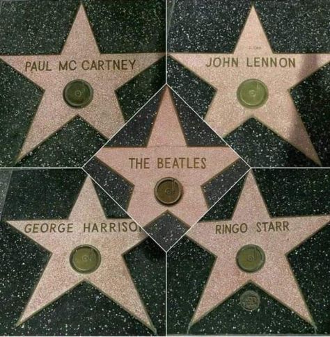 The Beatles Aesthetic, Beatles Aesthetic, Paul Is Dead, John Lemon, Beatles Wallpaper, Beatles Funny, Beatles Ringo, Beatles Band, Beatles George