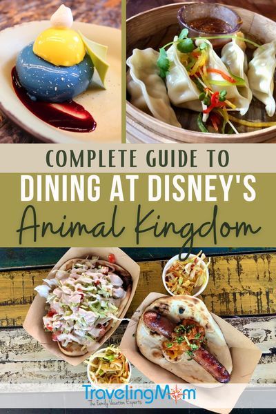 Disney's Animal Kingdom at Walt Disney World boasts some of the most unique and creative full service and quick service meals at any amusement park! African-themed dining and dishes that will please everyone with flavors that are far from the usual theme park fare. This complete guide to restaurants at Animal Kingdom will help you budget, walk you through advance dining reservations, ordering cocktails and suggests what to order at each location. (Photo credits: Tami Mittan & Melody Pittman) Animal Kingdom Snacks, Animal Kingdom Restaurants, Animal Kingdom Food, Animal Kingdom Dining, Disney Animal Kingdom, Disney World Travel, Disney World Restaurants, Disney World Food, Disneyland Tips