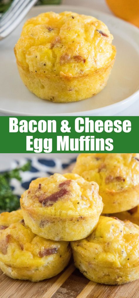 Bacon Egg And Cheese Muffins, Bisquick Egg Muffins, Cupcake Pan Breakfast Recipes, Bacon And Egg Muffins, Easy Egg Muffins Breakfast, Eggs And Bacon Recipes, Breakfast Muffins Recipes Egg, Snacks For Groups, Breakfast Egg Muffins Recipes