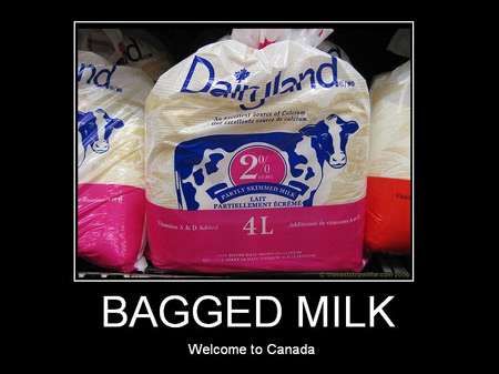 Bagged milk Guy Eyes, Milk In A Bag, Welcome To Canada, Drawing Leaves, Air Quotes, Meanwhile In Canada, Eyes Vintage, Canadian Things, White Guy