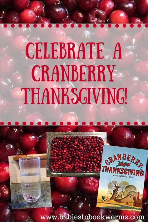 Celebrate the sweet side of Thanksgiving with "Cranberry Thanksgiving" by Wende Devlin and these fun cranberry activities! #ThanksgivingBooks #ThanksgivingLessons Cranberry Thanksgiving Book, Book Themed Activities, Cranberry Thanksgiving, Thanksgiving Lessons, Thanksgiving Books, Judging People, Cranberry Bread, Five In A Row, Thanksgiving Baby