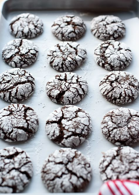 Chocolate Peppermint Crackle Cookies, Chocolate Peppermint Crinkles, Peppermint Chocolate Crinkle Cookies, Chocolate Crinkle Peppermint Cookies, Christmas Cookies Peppermint, Chocolate Peppermint Crinkle Cookies, Peppermint Crinkle Cookies, Chocolate Crinkle Cookie, Cookies Peppermint