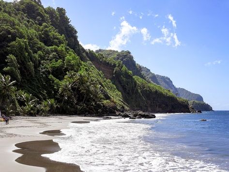 Martinique Island: A 3 Day Beach-to-Jungle Road Trip - Condé Nast Traveler Martinique Island, Jungle Travel, French Caribbean, Travel Caribbean, Caribbean Culture, Caribbean Island, Caribbean Beaches, Exotic Places, Caribbean Travel