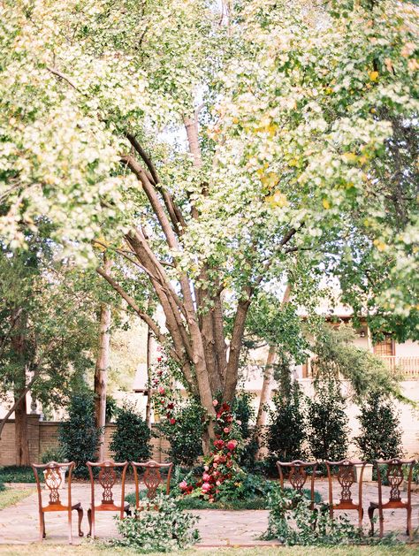 Tree Wedding Ceremony, Oak Tree Wedding, Berry Tones, Fall Wedding Color Palette, Giving Tree, Ceremony Chairs, Wedding Backdrops, Beautiful Outdoor Wedding, Garden Venue