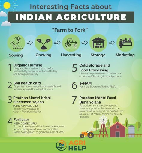 In this infographic, we have discussed some interesting facts about Indian Agriculture Agriculture In India, Agriculture Facts, Indian Agriculture, Technology In Agriculture, Harvest Storage, Agricultural Engineering, Smart Farm, Agriculture Business, Engineering Resume