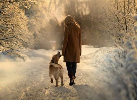 Snow Photoshoot, Dog Photoshoot, Woman Walking, Winter Photoshoot, Winter Photo, Winter Walk, Winter Beauty, Dog Photography, Winter Photography