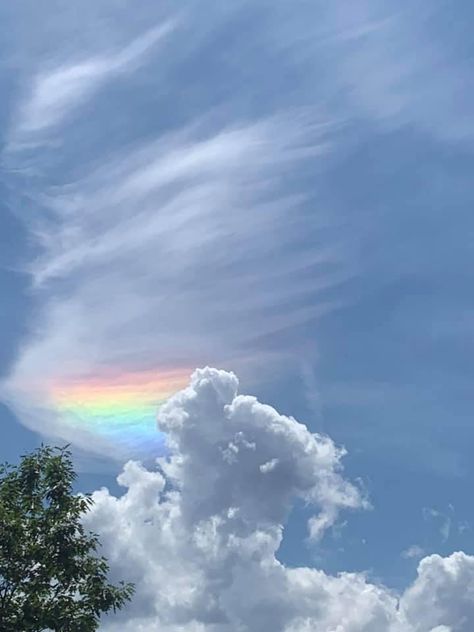 Sky Gazing, Angel Clouds, Giant Animals, Cloud Drawing, Rainbow Cloud, Love Rainbow, Buddha Art, Beautiful Photos Of Nature, Natural Phenomena