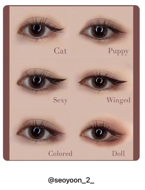 Animal Face Shapes Korean, Cat Face Type Korean, Puppy Face Type Makeup, Cat Eye For Round Eyes, Cat Face Type Makeup, Dog Pretty Face Type Makeup, Round Eyes Makeup Eyeliner, Eyeliner Placement, Different Type Of Eyes