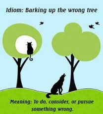 Barking Up The Wrong Tree. All About Me Eyfs Planning, All About Me Eyfs, Tree Meanings, Barking Up The Wrong Tree, All About Me!, The Meaning, Meant To Be, Mario Characters