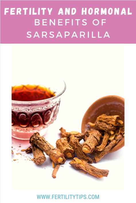 The sarsaparilla herb, also known as Smilax officinalis, has been used medicinally for thousands of years by the tribes of South and Central America for many purposes. The concentration of beneficial phytochemicals purifies the blood. This leads to many other positive health effects, but less known are sarsaparilla's effects on hormones and fertility. Cleansing Herbs, Natural Decongestant, Liver Detoxification, Herbs For Health, Homeopathic Medicine, Health Knowledge, Healing Herbs, Hormone Balancing, Health Facts