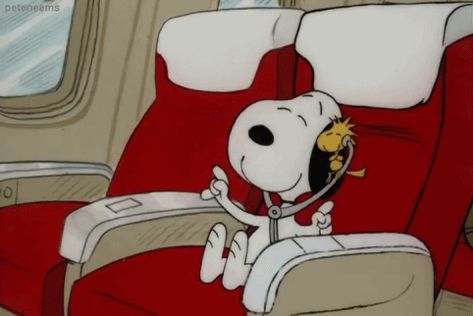 Snoopy Gifs, Snoopy Videos, Snoopy Gif, Birthday Ecards Funny, Peanuts By Schulz, Snoopy Cartoon, Snoopy Funny, Snoopy Images, Flying Ace