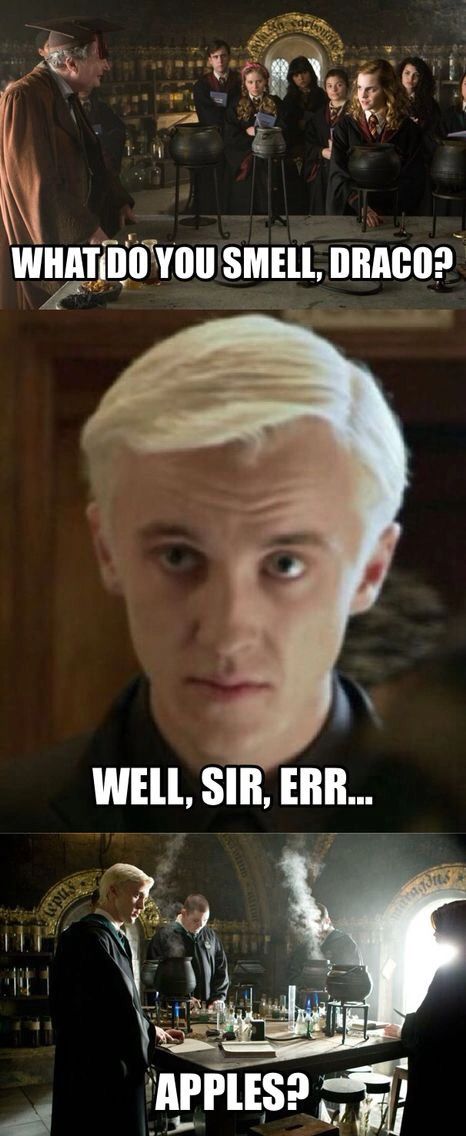 Draco Malfoy Memes, Weird Ships, Stile Harry Potter, Harry Potter Feels, Harry Potter Puns, Slytherin Harry Potter, Images Harry Potter, Harry Potter Draco Malfoy, Draco Harry Potter