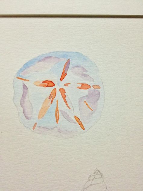 Watercolor sand dollar Sand Dollar Tattoo, Family Room Art, Sand Dollar Craft, Watercolor Stamps, Learn Watercolor Painting, Postcard Stamps, Sea Urchins, Beach Illustration, Learn Watercolor