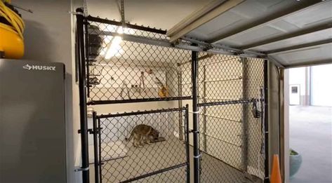 30 Garage Dog Kennel Ideas + DIY Solutions Dog Kennel Alternatives, Dog Crates In Garage, Garage For Dogs, Dog Kennels In Garage, Dog Area In Garage, Garage Dog Kennel Ideas, Garage Dog Kennel, Diy Dog Kennel Indoor, Dog Room In Garage