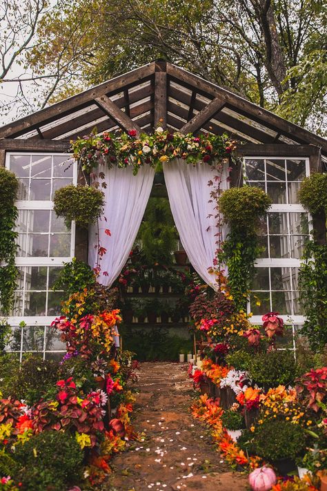 Backyard Greenhouse Wedding, Green House Wedding Ceremony, Fall Greenhouse Wedding, Green House Wedding Venues, Greenhouse Wedding Venue Ideas, Small Greenhouse Wedding, Fall Wedding Venues Outdoor, Small Intimate Wedding Reception, Greenhouse Ceremony