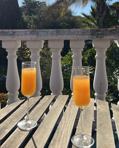 Mimosas baby! - orange juice - champagne of your choice - fill up glass with champagne - dash with a little bit of juice Homemade Mimosa, Mimosa Aesthetic, Baby Orange, Hello September, Orange Juice, Mimosa, Beach Club, Wine Glasses, Rose Wine