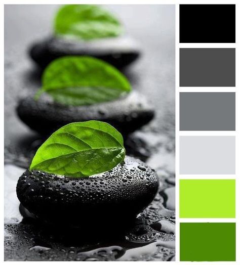 Mint Green And Black Color Palette, Black Green Grey Color Palette, Green Black And White Color Palette, Black White Grey Green Color Palette, Green Basement, Green Bathtub, Bathroom Colors Schemes, Kitchen Color Green, Pallet Kitchen