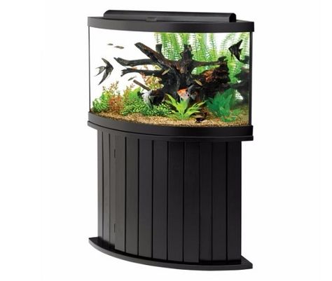 Aqueon 54 gallon corner aquarium with stand Corner Fish Tank, Corner Aquarium, Aquarium Set, Tank Stand, Aquarium Setup, Pet Spray, Aquarium Ornaments, Fish Supplies, 55 Gallon