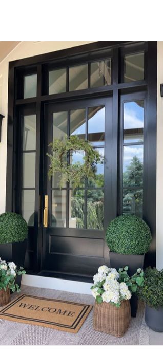 Big Door Design Entrance, Brown Entrance Door, Black Foyer Door, Plant Entryway Ideas, Front Door Decor Inside Entrance, Front Door With Sidelights And Transom, Transitional Front Door, Farmhouse Front Doors, Front Entrance Ideas