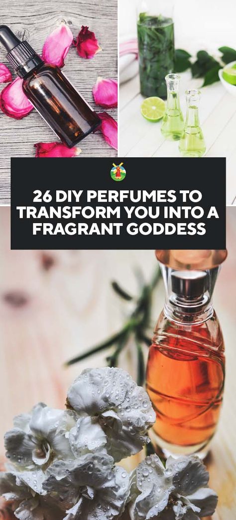 26 DIY Perfumes to Transform You Into a Fragrant Goddess Diy Perfumes, Perfume Oil Recipes, Diy Perfume Recipes, Essential Oil Perfumes Recipes, Homemade Perfume, Botanical Perfume, Perfume Recipes, Diy Perfume, Essential Oil Blends Recipes