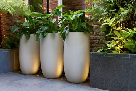 Axis - Urbis Design - Contemporary Concrete Planters and Furniture Big Planters, Swiss Cottage, Plant Pot Design, Large Plant Pots, Potted Plants Outdoor, Modern Backyard Landscaping, Flower Pots Outdoor, Modern Garden Design, Garden Makeover