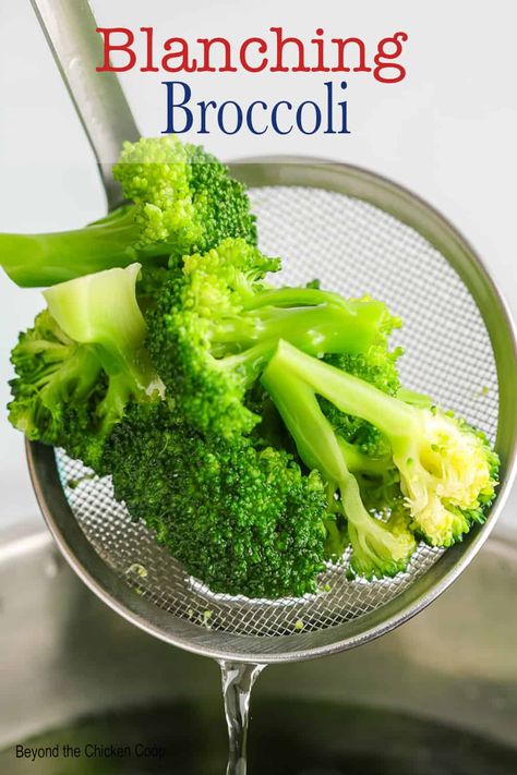 Blanching Broccoli Blanch Broccoli How To, Fresh Broccoli And Cauliflower Recipes, Barbara Broccoli, Blanching Broccoli, Blanched Broccoli, Broccoli Stalks, Freezing Veggies, Cook Broccoli, Broccoli Stalk