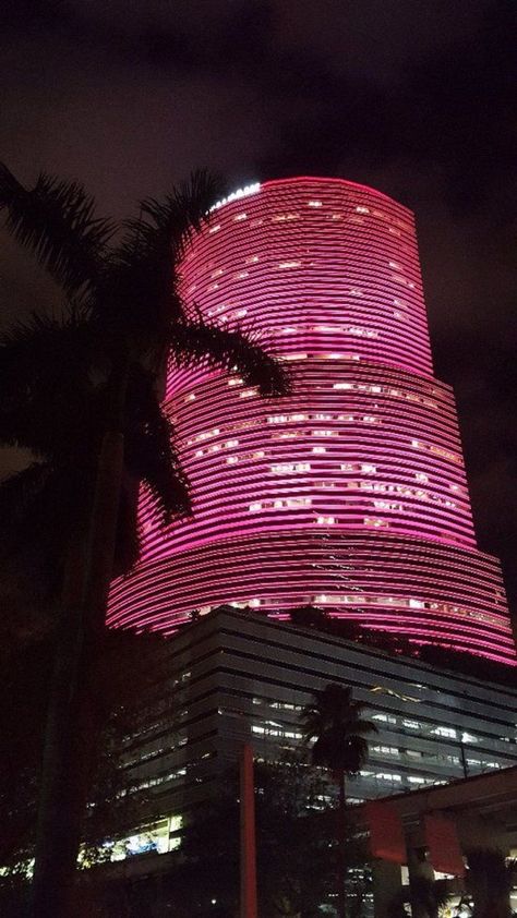 Pink Miami Aesthetic, Miami Tower, Iphone Pink Wallpaper, Carpet Ideas 2023, Miami Aesthetic, Carpet Ideas, Catty Noir, Luxury Lifestyle Dreams, City Vibe