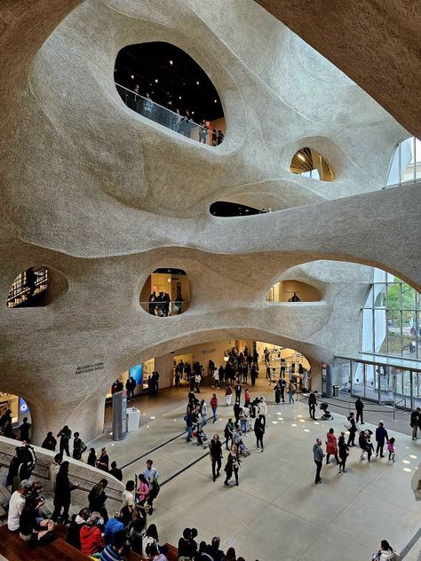 New Wing in the American Natural History Museum. New York City. Historical Thinking, Peabody Museum, Museum Plan, Museums In Nyc, Human Remains, American Museum Of Natural History, York Aesthetic, Visiting Nyc, New York Museums