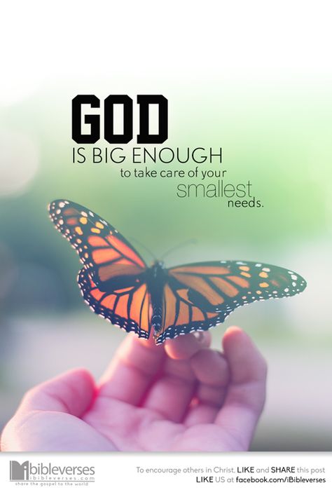 Butterfly Quotes, God Is Amazing, Ayat Alkitab, Prayer Verses, Faith Prayer, Biblical Quotes, Faith Inspiration, Christian Quotes Inspirational, Prayer Quotes