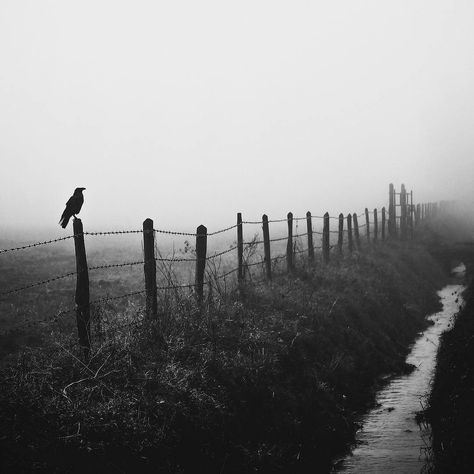 The Superb Atmospheric And Poetic Black & White Photo Artworks Of Gabriel Guerrero Caroca Strange Aeons, Village Vibes, Atmospheric Perspective, Infinite Void, Anne Carson, Dark Triad, Horror Aesthetic, Book Of Proverbs, Crows And Ravens