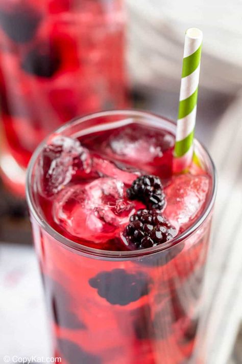 Fruity Summer Cocktails, Very Berry Hibiscus Refresher, Cocktail Vodka, Blackberry Bush, Summer Vodka Cocktails, Taste And Tell, Mojito Recept, Cocktail Gin, Healthy Afternoon Snacks