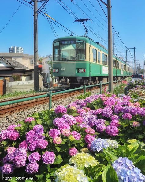 Aesthetic Country, Kanagawa Japan, Kanagawa Prefecture, Sea View, Places Around The World, Jamaica, High School, Around The Worlds, Japan