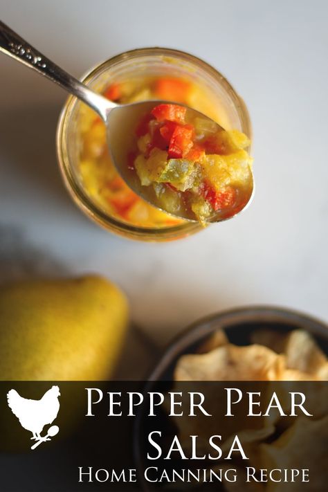 This sweet and tangy Pepper Pear Salsa is great for dipping or as a topping for your favorite meat dish.  This recipe makes about 10 half pint jars. Pear Salsa Canning, Pear Salsa, Cosmopolitan Cornbread, Canning Tools, Home Canning Recipes, Meat Dish, Hot Salsa, Pint Jars, Home Canning