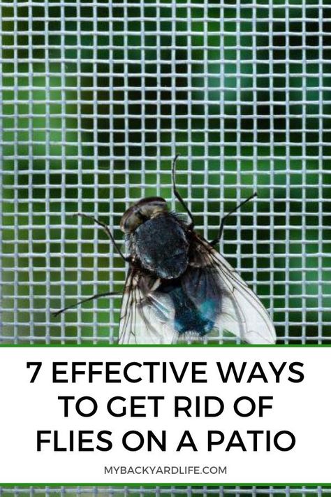 Fly Catcher Diy Outdoor, How To Repel Flies Outdoors, How To Deter Flies Outside, Repel Flies Outdoors, Homemade Fly Repellent, Keep Flies Out Of House, Keep Flys Off Porch, Get Rid Of Flies In House, Diy Fly Repellent Outdoor