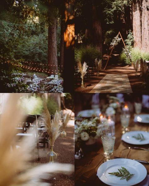 Current things that spark joy: great couples and venues I’ve never shot at before This was my first time shooting a wedding at Waterfall Lodge in Santa Cruz. A collection of A-frames so I felt right at home. Congratulations to @valwkam and Adam, I was in awe of the whole day and watching you two love being in each others arms. Venue: @waterfallsantacruz Planning: @eventbydawn Floral: @the.blonde.rose DJ: @santacruzdjcompany MUAH: @shannonle Catering: @fivestarcatering831 Desserts: @t... Waterfall Lodge Santa Cruz Wedding, Santa Cruz Wedding, A Frames, Second Love, Spark Joy, Social Media Post, Things That, First Time, Dj