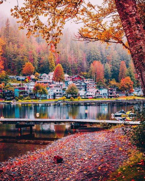 👣 Wander Vancouver 🇨🇦 on Instagram: “// 📸 photo by @staysinspired // . Fall colours in beautiful BC 🍁😍 . . // Share your Vancouver wanderings with #WanderVancouver to be…” Cultus Lake, Canadian Homes, Move To Canada, Vancouver Photos, Vancouver Photography, Travel Europe Cheap, Vancouver City, Canada Holiday, Canada Vancouver