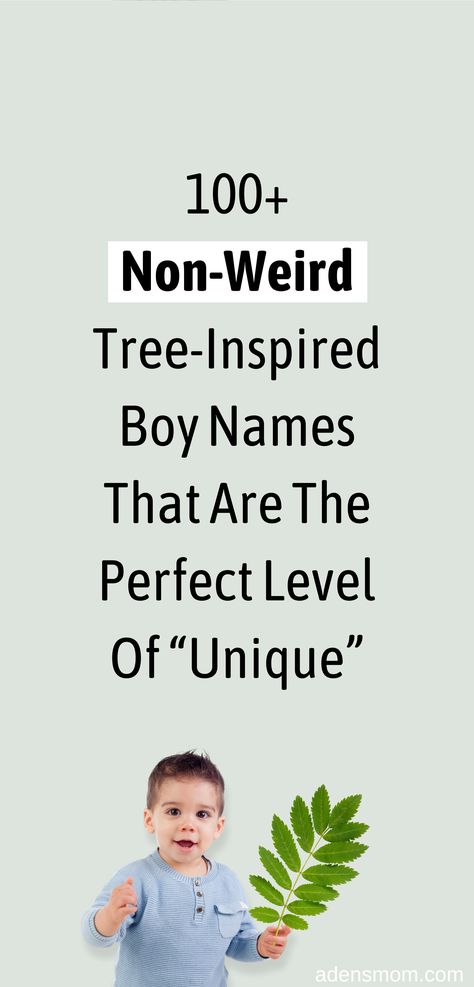 Ready for some ~actually cool~ unique nature-themed names for baby boys? All of the male baby names on this list have meanings related to TREES! You'll be pretty surprised, as I was, to see how many of them are modern (and totally normal)! // nature names for boys unique // tree names for babies // tree names boys // tree baby names boy // unique nature boy names // unique earthy boy names Male Nature Names, Nature Inspired Boy Names, Nature Themed Names, Unique Boy Names Creative, Nature Boy Names, Meaningful Boy Names, Best Male Names, Nature Baby Names, Nature Names For Boys