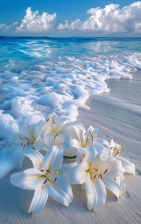 Prompt 👉Bouquet of white lilies lying on white sand washed by foamy turquoise surf wave, fantastic, photorealistic picture, tumblr, breathtaking beautiful white beach, detailed lily flowers, wonderful reflection of the sky, close-up!!!!!! Fantastic beautiful wallpaper on iPhone]r 👉 if Like, please Follow and Share AI Graphics Studio 👇Contact on WhatsAPP: http://tiny.cc/aigraphicsstudio #aigraphicsstudio #AI #DigitalMarketing #digitalartist #digitalart #digital #creativephotography #designin... Best Pictures For Wallpaper, Beach Flowers Wallpaper, Beautiful Ocean Wallpapers, Cute Pictures For Wallpapers, Beach Flower Wallpaper, Water Background Aesthetic, Cute Whatsapp Wallpaper, Followers Wallpaper, Lily Flowers Wallpaper