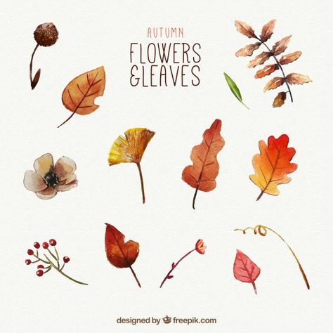 Certificate Ideas, Aquarelle Painting, Brush Paint, Watercolor Designs, Patterns Design, Fall Watercolor, Watercolor Leaves, Free Vectors, Autumn Cozy