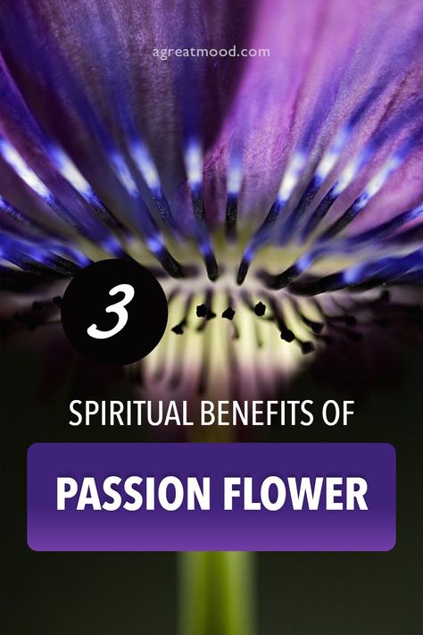 Just like other herb and flower extracts, passion flower can help you get in touch with your spiritual side. For example, it may help you take life less seriously or reach deeper relaxation when meditating or falling alseep. I've experimented with passion flower myself and noticed these three "spiritual" benefits… Benefits Of Passionflower, Passion Flower Magical Properties, Passion Flower Benefits, Passion Flower Tea, Deep Relaxation, Spiritual Meaning, Passion Flower, Flower Extract, Medical Advice