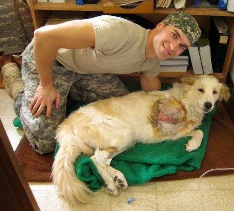 Have you wondered about what it would be like to be a veterinarian in the Army? If so, I think you’ll enjoy this first part in a series on my experiences as an Army veterinarian. Related Becoming A Veterinarian, Veterinary School, Unique Jobs, Vet Medicine, Military Working Dogs, Army Reserve, Vet School, Career Vision Board, Vet Med