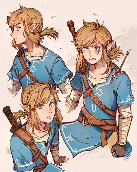 Link Botw, Botw Zelda, Princesa Zelda, Zelda Botw, Link Art, Hyrule Warriors, Link Zelda, Japon Illustration, Zelda Art