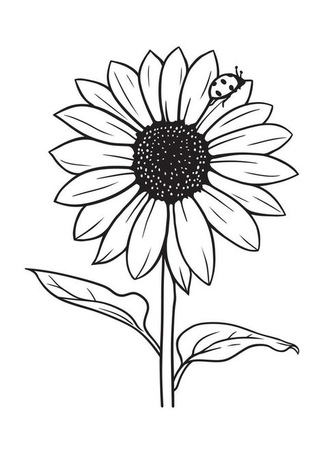 sunflower with ladybug in black and white vector illustration on white background Sunflower With Ladybug, Drawing Black Background, Sun Drawing, Lady Bug Tattoo, Sunflower Drawing, Sunflower Clipart, Black And White Birds, Black And White Vector, A Ladybug