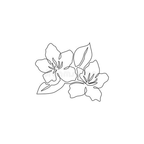 Coast Rhododendron Tattoo, Rhododendron Tattoo Simple, Rhododendron Drawing, Rhododendron Tattoo, Azalea Tattoo, Rhododendron Flower, One Continuous Line Drawing, Face Tats, Azalea Flower