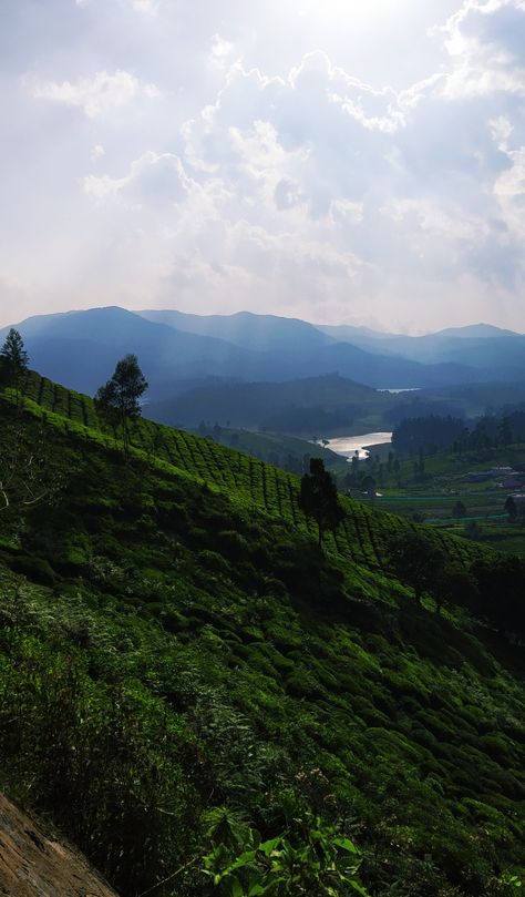 Emerald lake of ooty Insta Profile, Emerald Lake, Ooty, Insta Profile Pic, Profile Pic, Nature Pictures, Travel Experience, Vision Board, Emerald