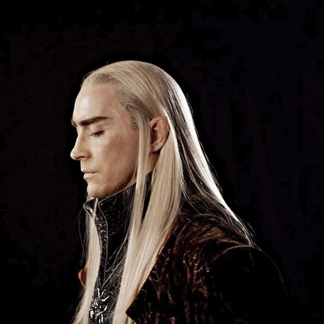 The Lord Of The Rings Legolas, Thranduil The Hobbit, Thranduil Aesthetic, Thranduil Wallpaper Aesthetic, Thranduil Scar, Thranduil And Oropher, Thranduil Scar Fanart, Thranduil Gif, The Hobbit Thranduil