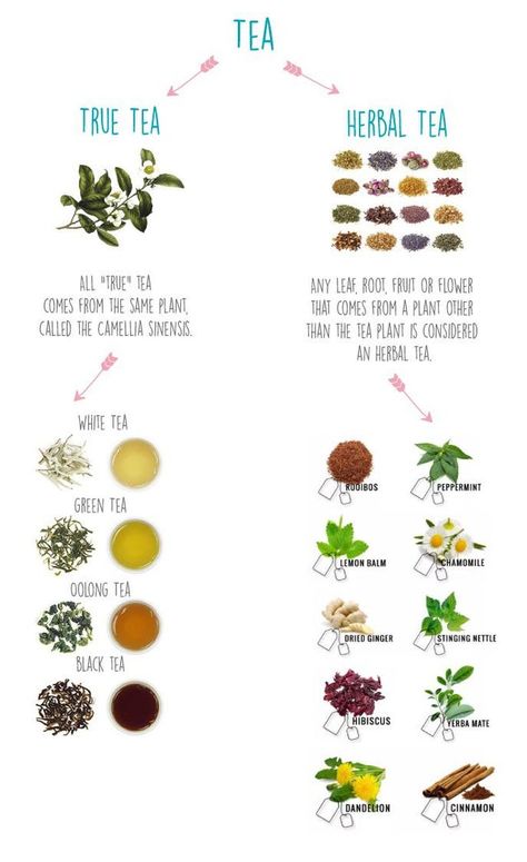 Tea Infographic, Guide To Tea, Tea Blending, Tea Blends Recipes, Tea Business, Green Tea Lemon, Tea Herbs, Health Facts Food, Tea Plant