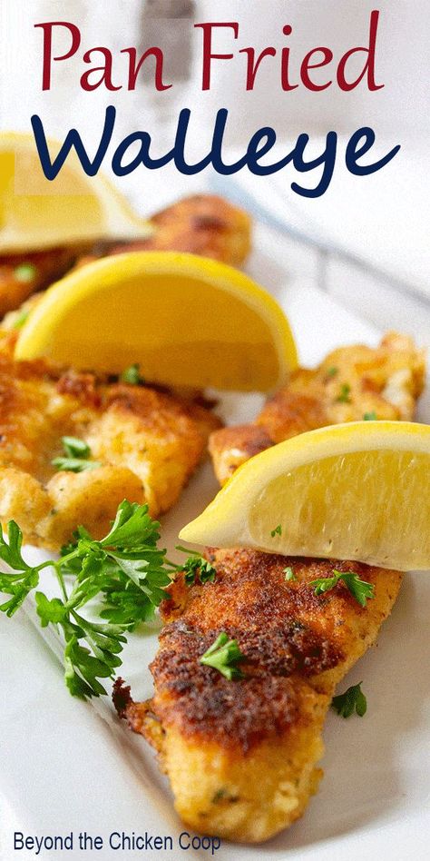 Crispy Pan Fried Walleye fish fillets. This quick dinner entree can be made with any white fish and can be made with fresh or frozen fish fillets.  #walleyerecipes #friedwalleye Pan Fried Walleye, Fried Walleye, Frozen Fish Fillets, Walleye Recipes, Walleye Fish, Walleye Fish Recipes, Pan Fried Fish, Frozen Fish, Beer Battered Fish